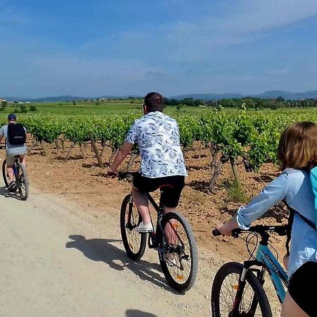 Tina De Vila, En La Capital Del Vino Vilafranca del Penedès Buitenkant foto