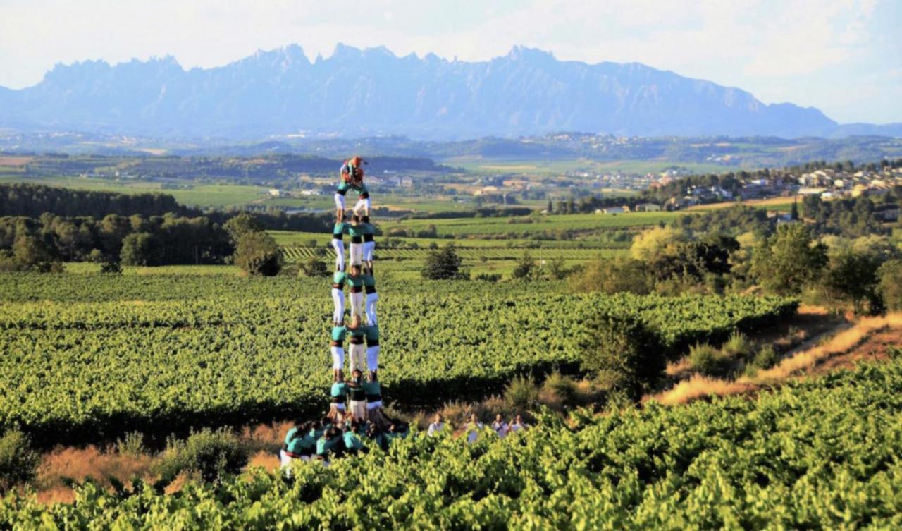Tina De Vila, En La Capital Del Vino Vilafranca del Penedès Buitenkant foto