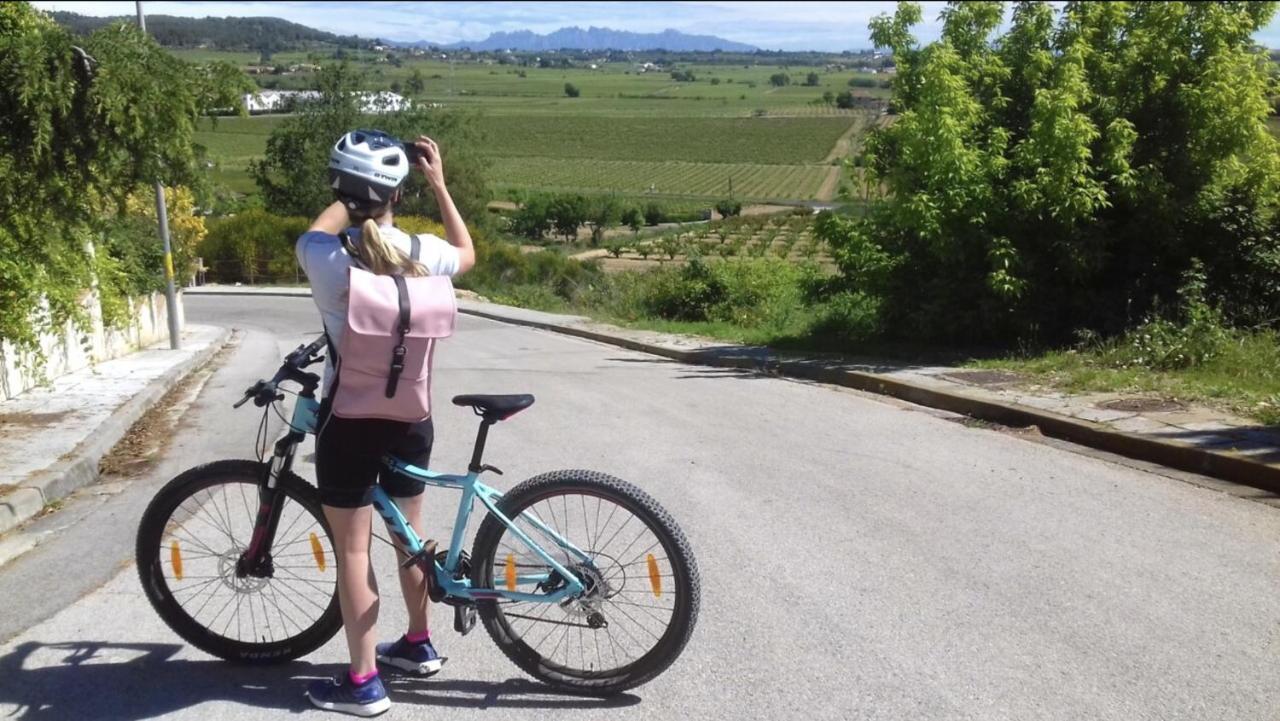 Tina De Vila, En La Capital Del Vino Vilafranca del Penedès Buitenkant foto